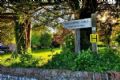 The Wayfarer's March is dedicated to the many walkers and marchers who have trodden the ancient Wayfarer's Walk, a footpath in England that runs from Walbury Hill in Berkshire to Emsworth in Hampshire
